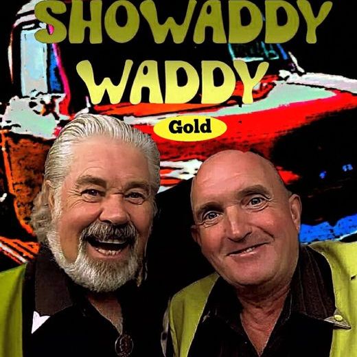Showaddywaddy Tribute performing in Benidorm