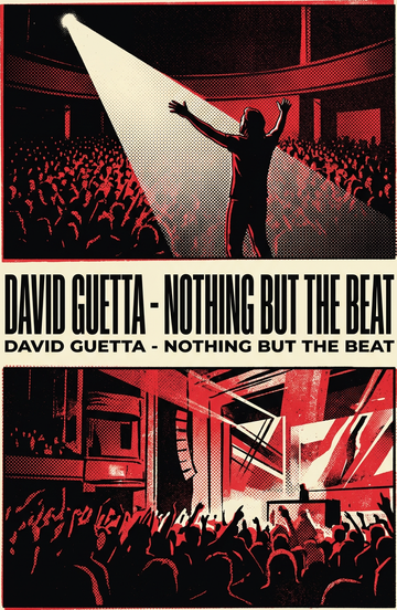 David Guetta - Nothing but the Beat — David Guetta tribute act in Benidorm