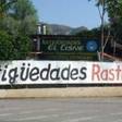 El Cisne El Cisne logo
