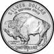 Silver Dollar